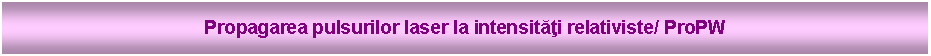Text Box: Propagarea pulsurilor laser la intensităţi relativiste/ ProPW