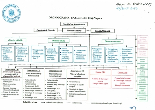 organigrama