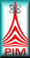 pim2008