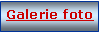 Text Box: Galerie foto
