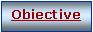 Text Box: Obiective