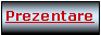 Text Box: Prezentare